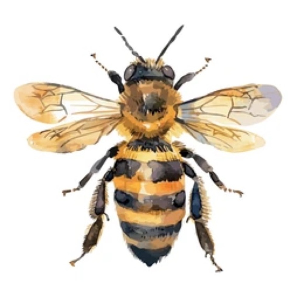 Meet your Posher, Bee